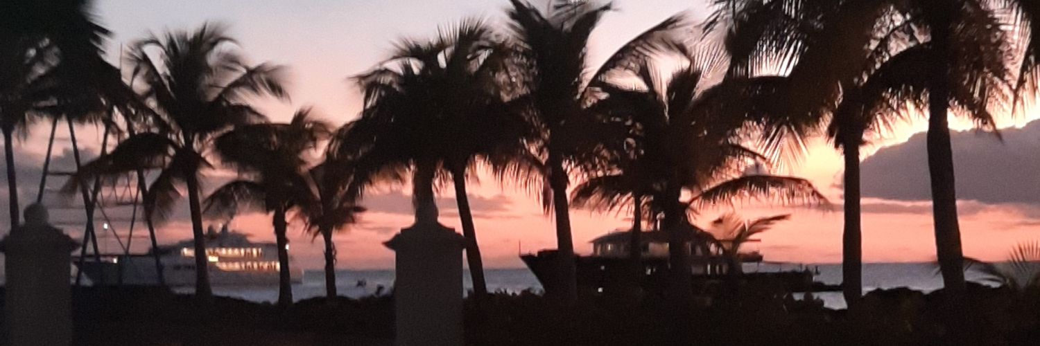 CoiaBoo's profile banner image