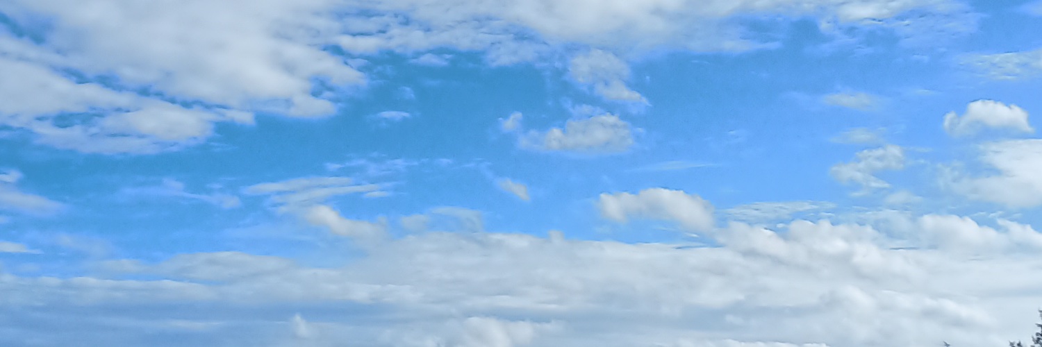 ครูกังฟู banner