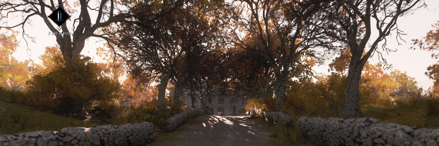 TheFunkyTree's profile banner image