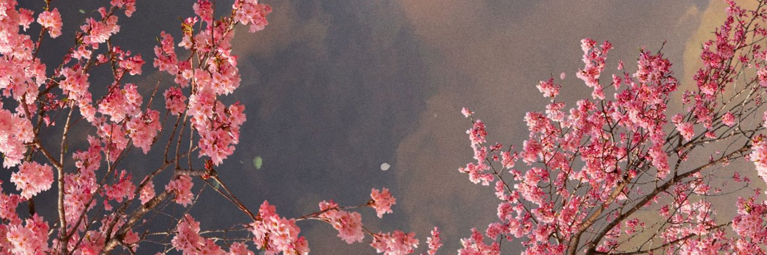 tattoominds's profile banner image