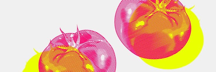 labrojeira's profile banner image
