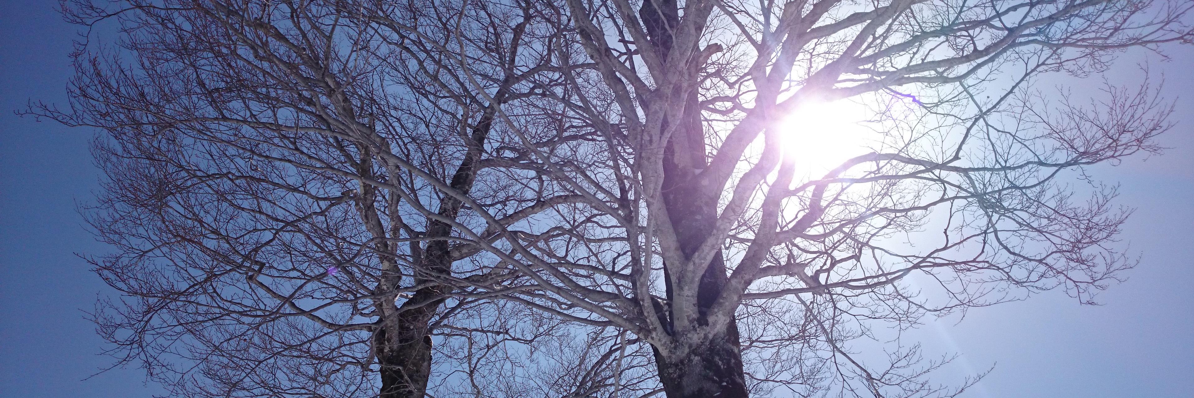 tamao910's profile banner image