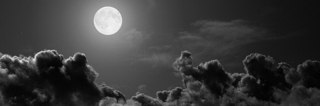 Wolf fon Windau banner