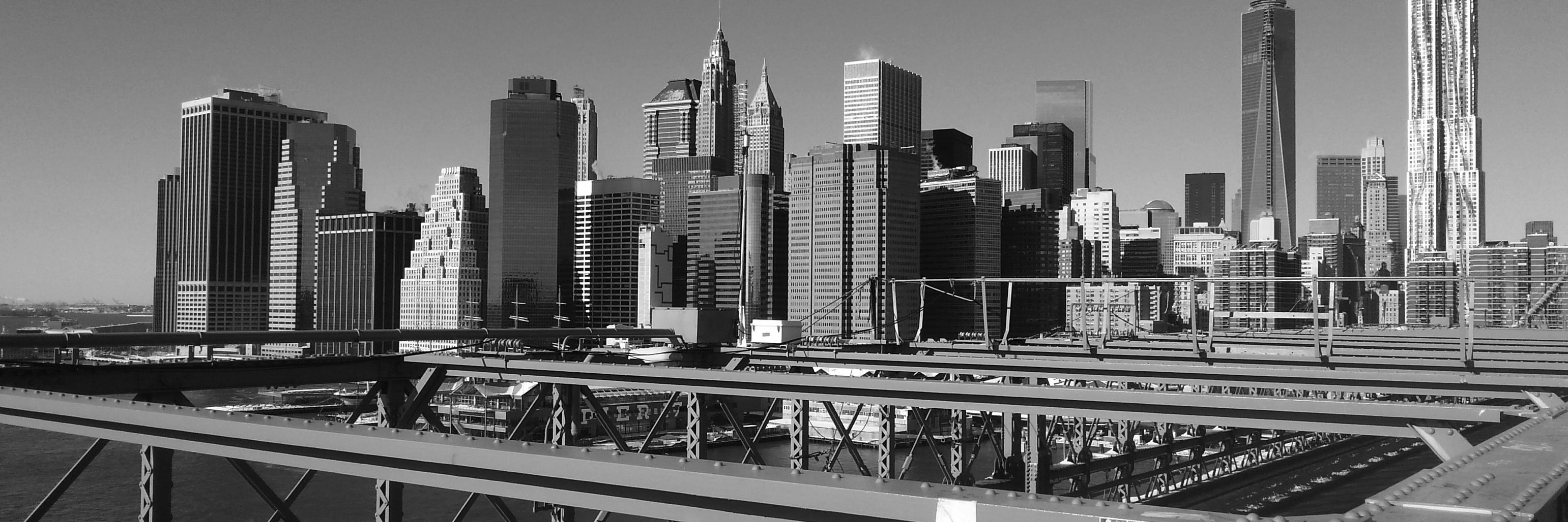 ECOSILVER1's profile banner image