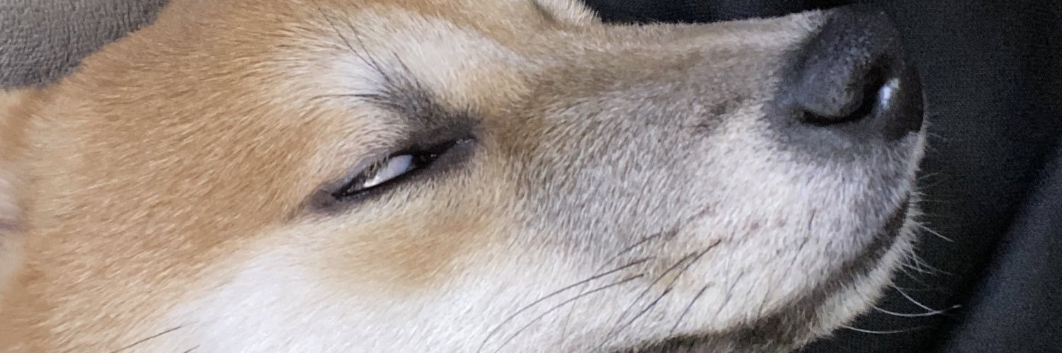 rin_kojim's profile banner image