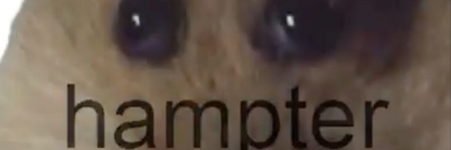XanderZeidel's profile banner image