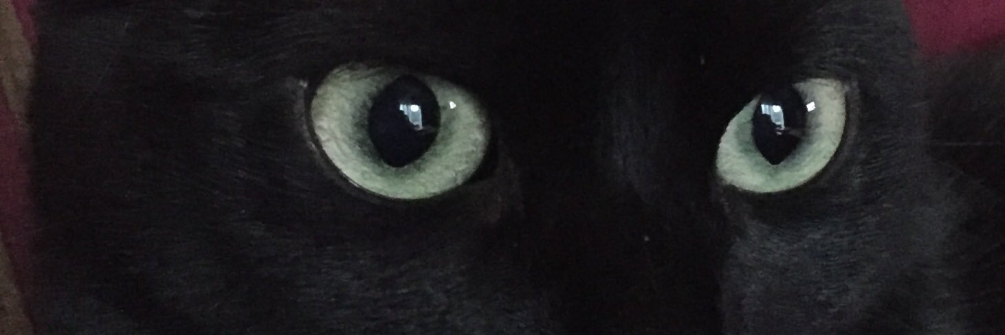MORENI67's profile banner image