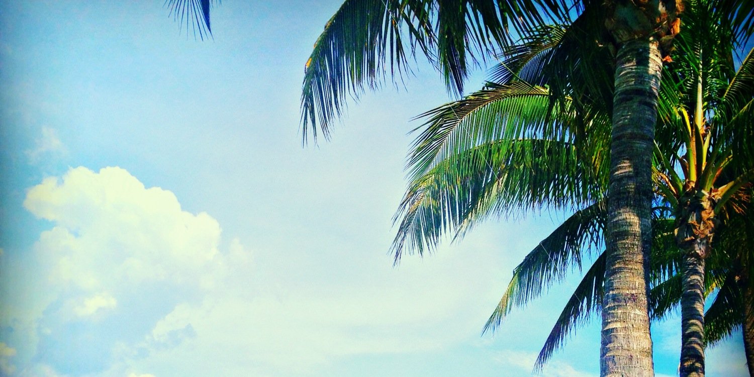 HelloItsMe_V's profile banner image