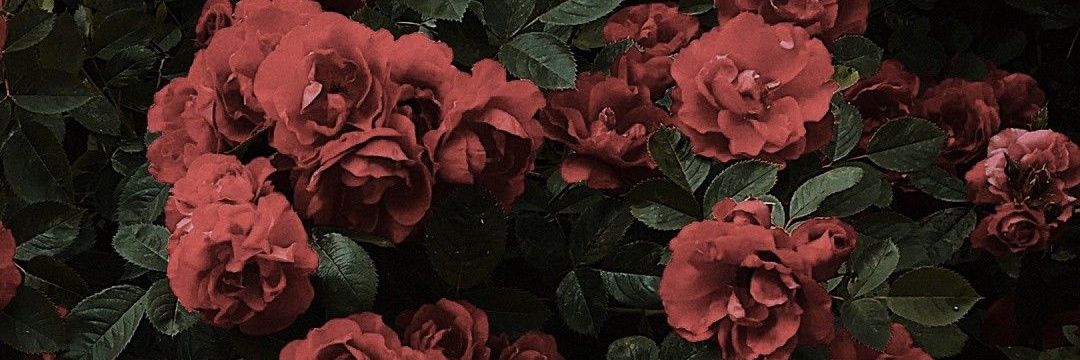 lost_adonai's profile banner image