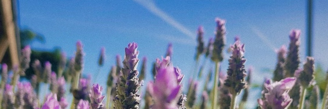 VirtualMSFT's profile banner image