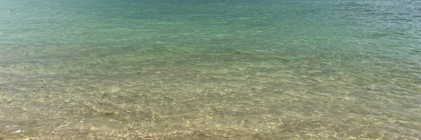 ちさと@低浮上 banner