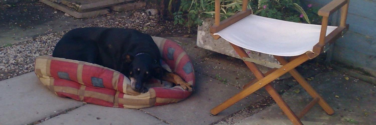 Tiny Dog Records banner