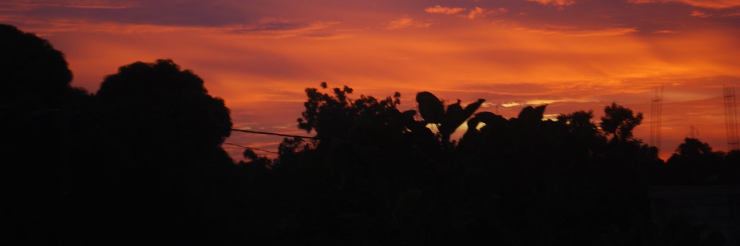 toufatousene's profile banner image