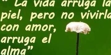 F.Fontan banner