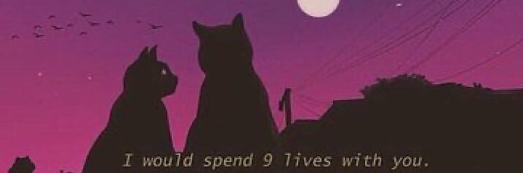 veterinen's profile banner image