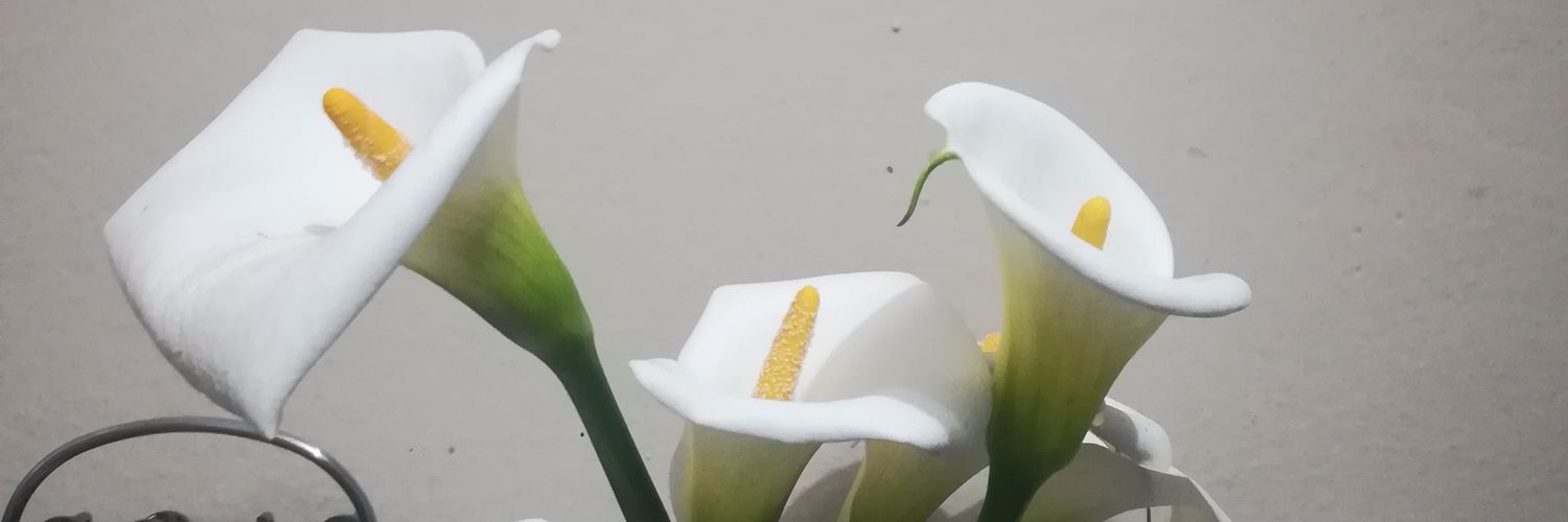 K_theseventhson's profile banner image