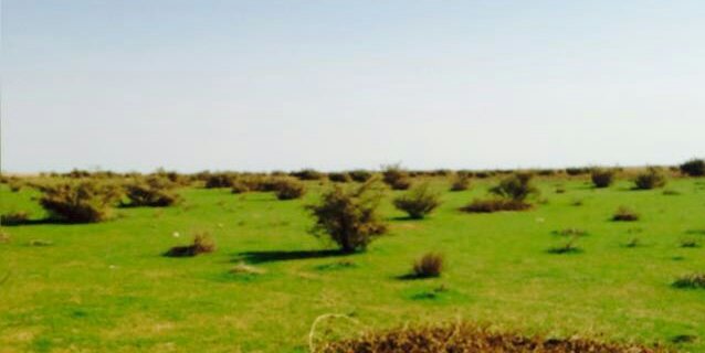 eweer77's profile banner image