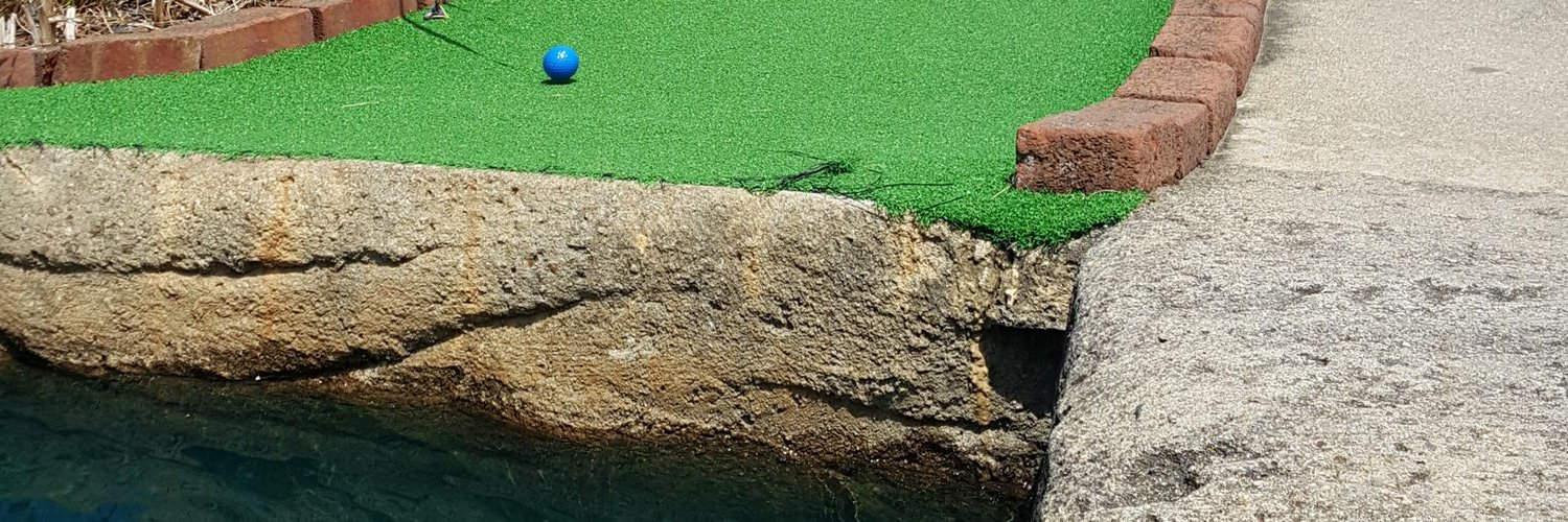 Jim Patrick, Eclectic Tweeter banner