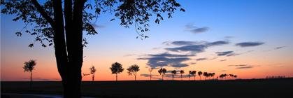 danielallgdrsz's profile banner image