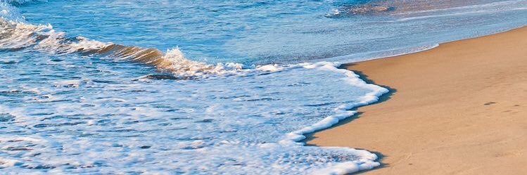 lidianse's profile banner image