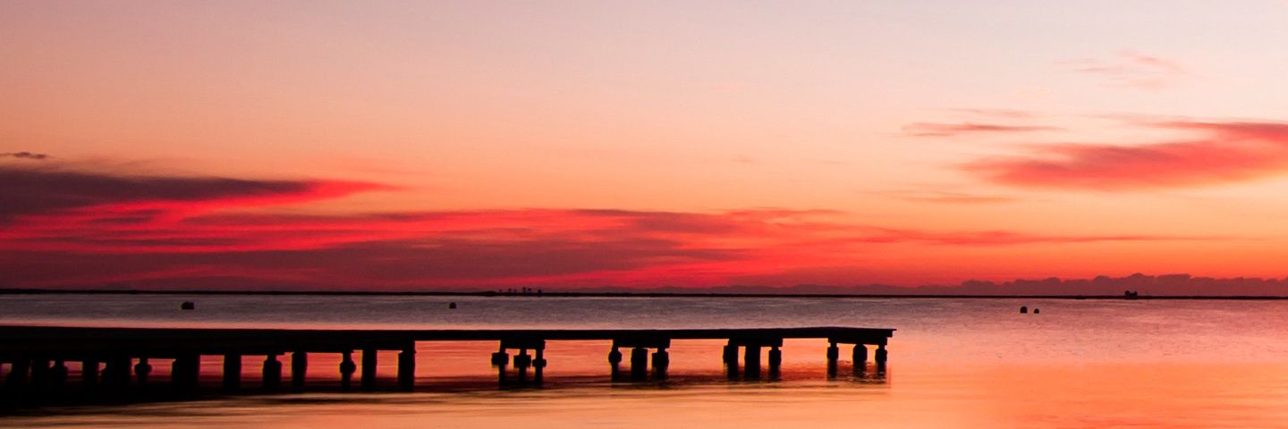 jenideborgher's profile banner image