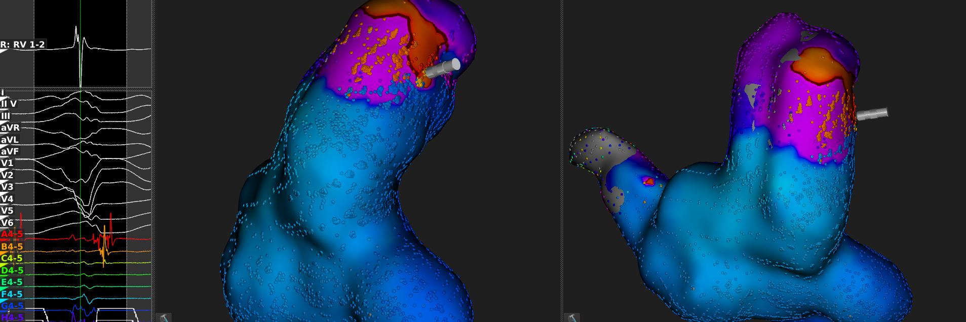 Daniel Steven banner