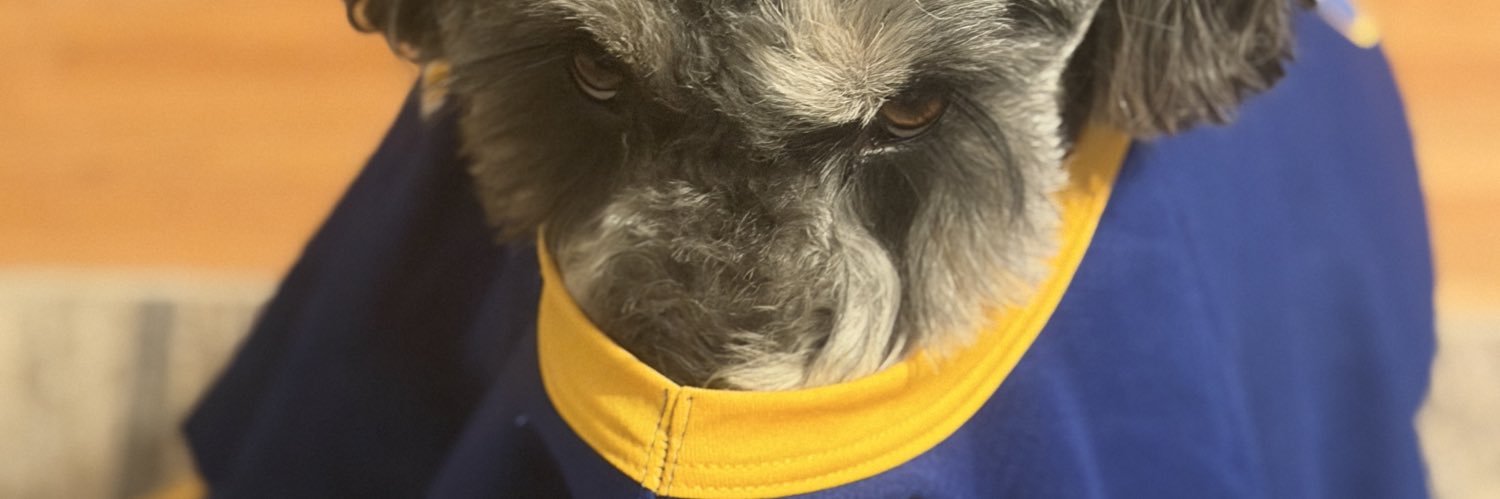 deadbeat dog dad banner
