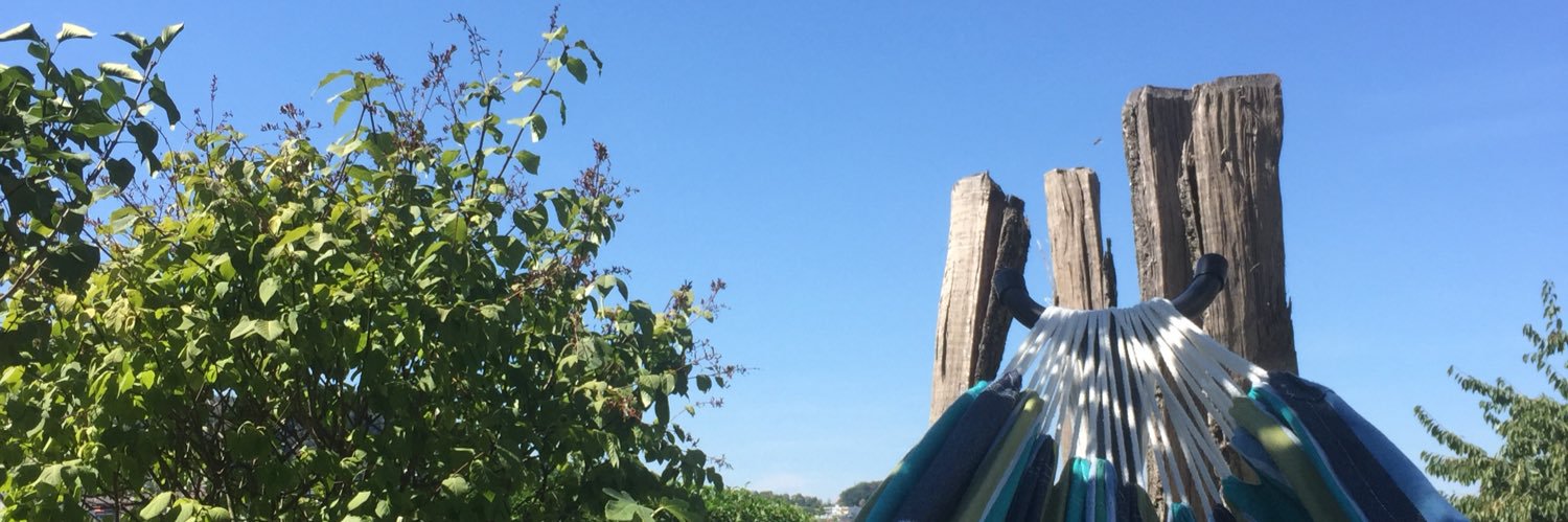 gcomandini_'s profile banner image