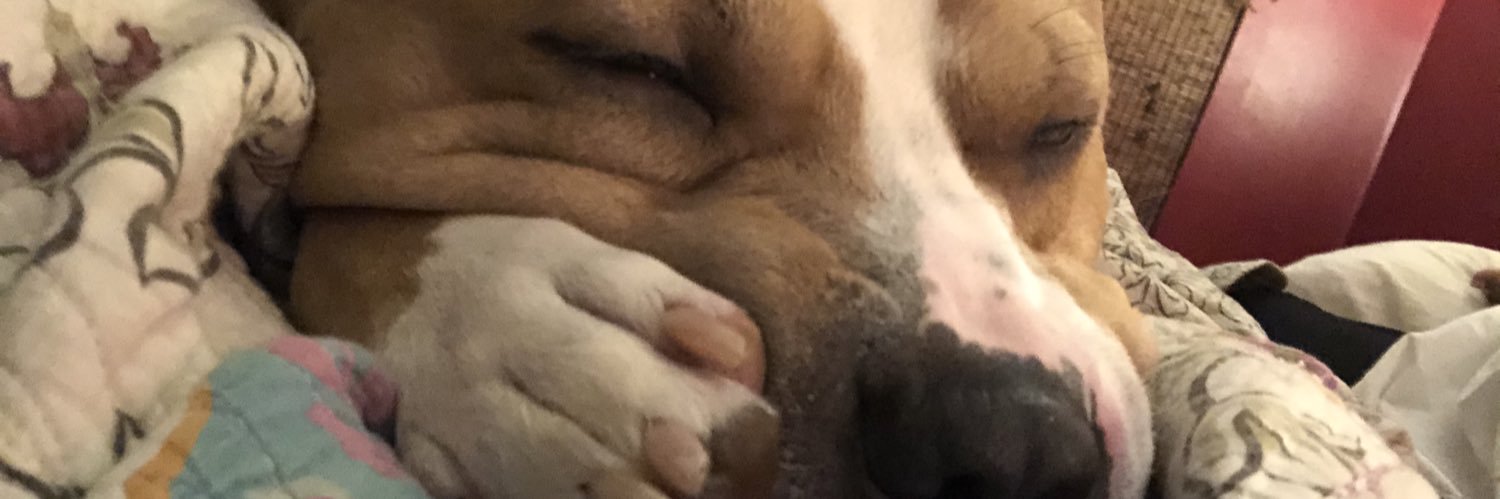 imGLAMOROUSx's profile banner image