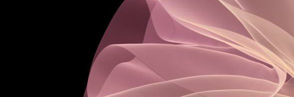 jenncecil31's profile banner image