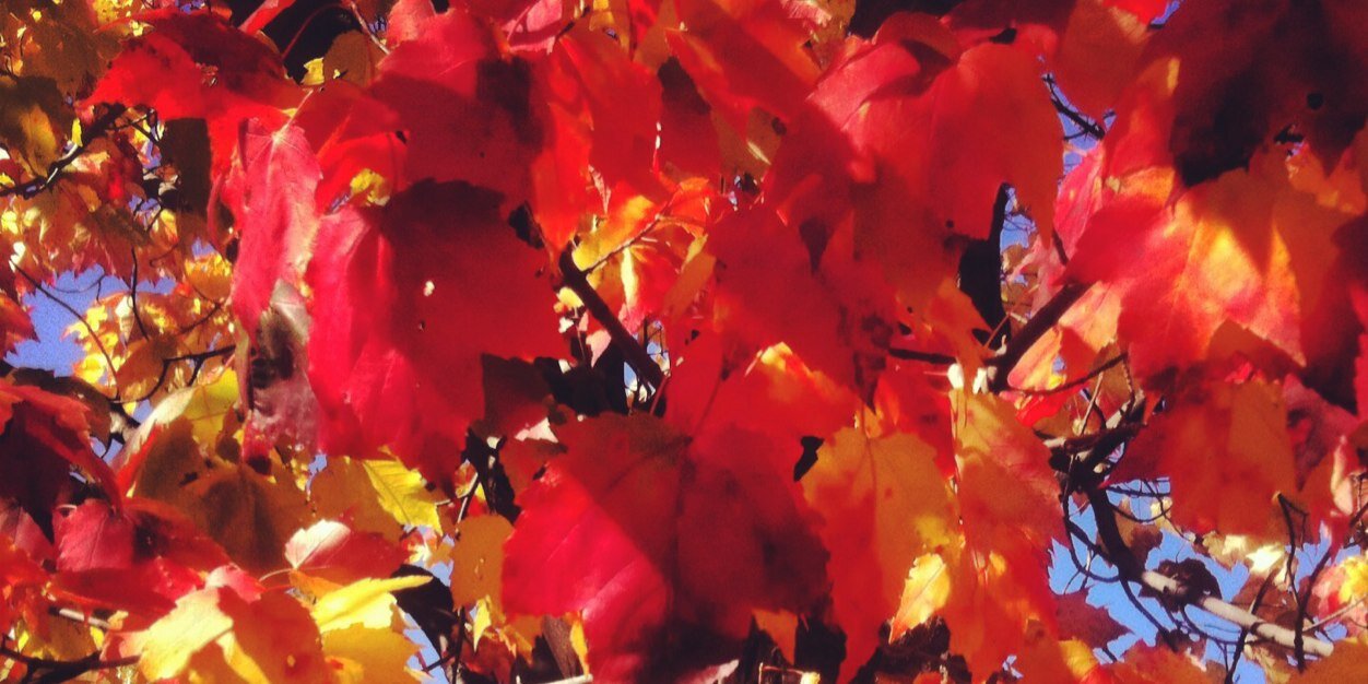 jeffmaxymatt's profile banner image