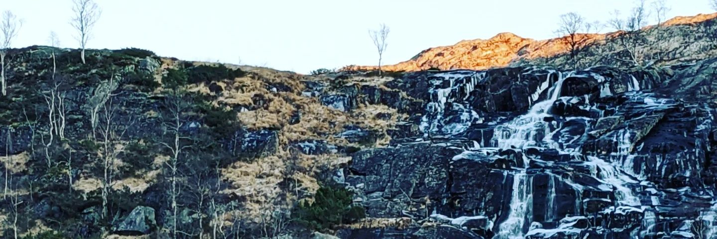 sander mellingen banner