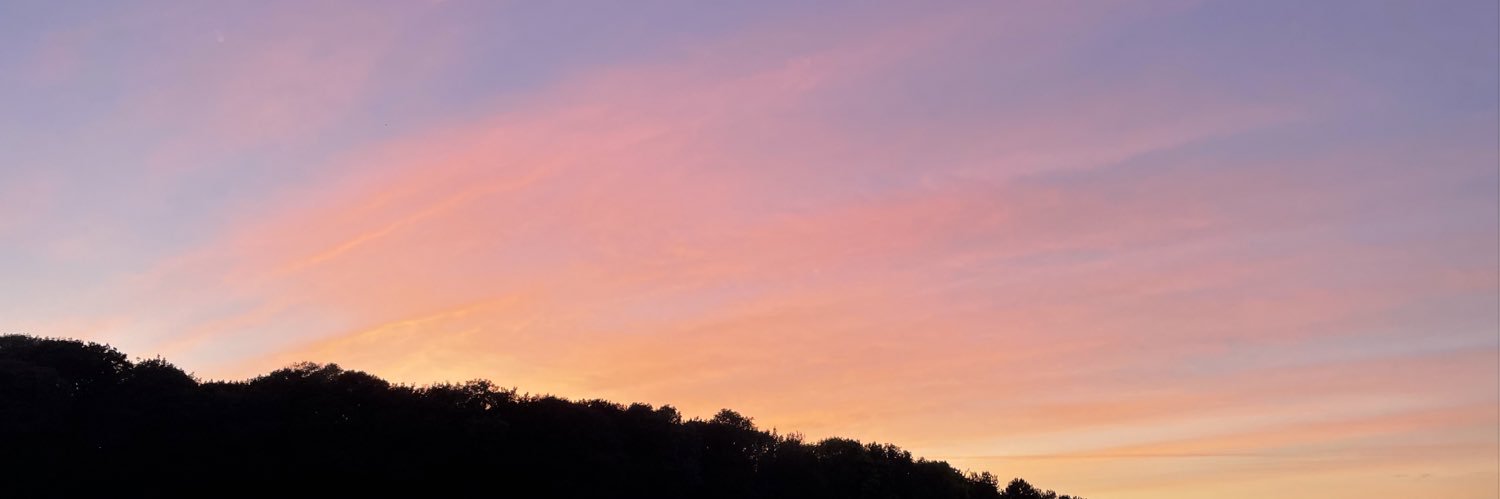maddison_XIX's profile banner image