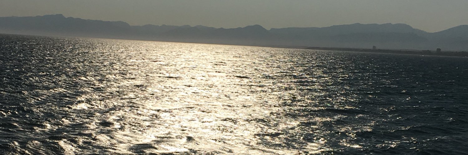 martigasb's profile banner image
