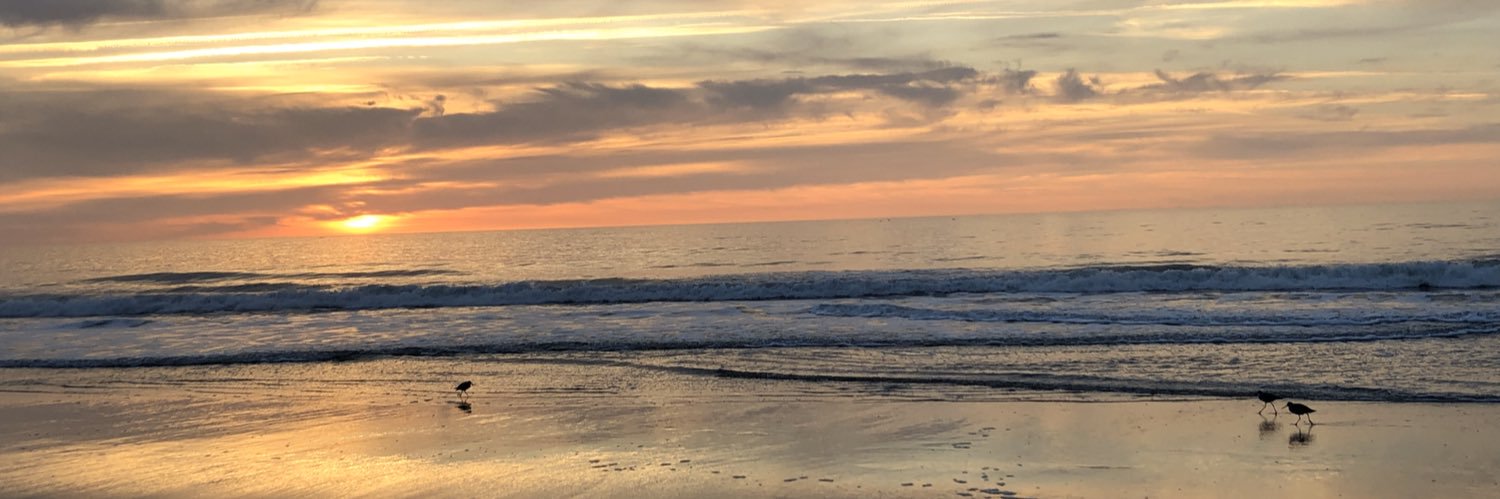 katiecarp32's profile banner image