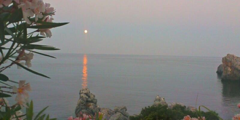 Lu_Ma_Ar's profile banner image
