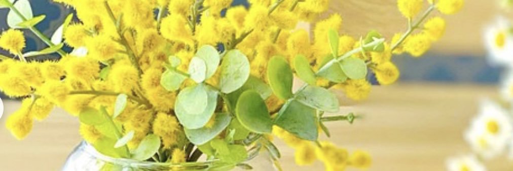 passowing's profile banner image