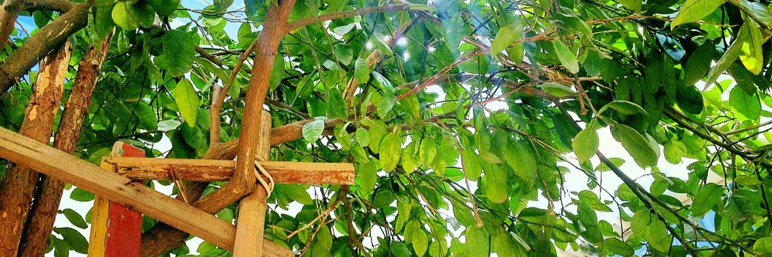sky_yzt's profile banner image