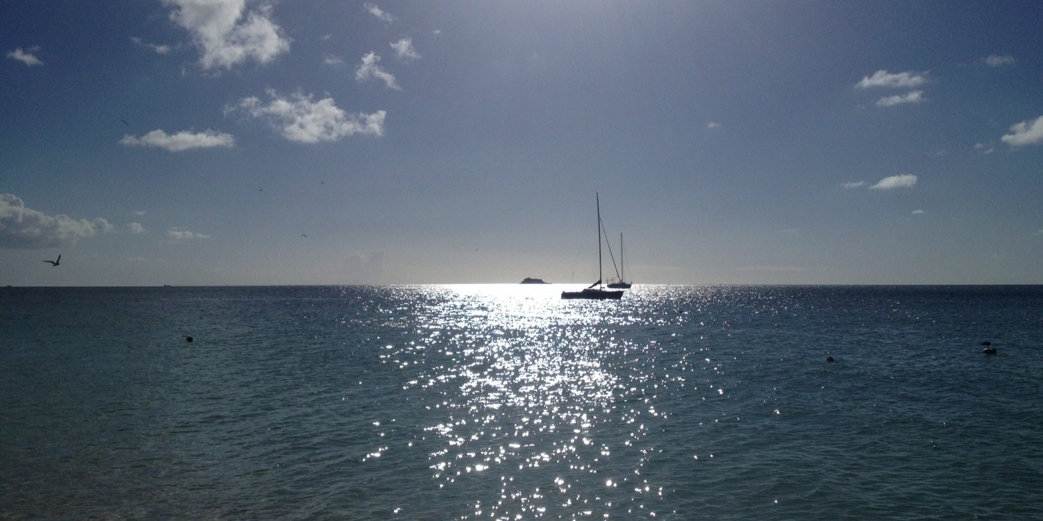 Jeremy Halbrook banner