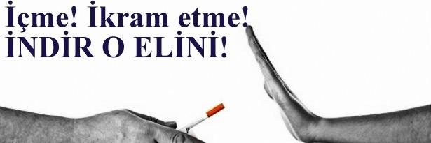 indiroelini12's profile banner image