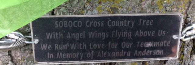 sbcxc's profile banner image