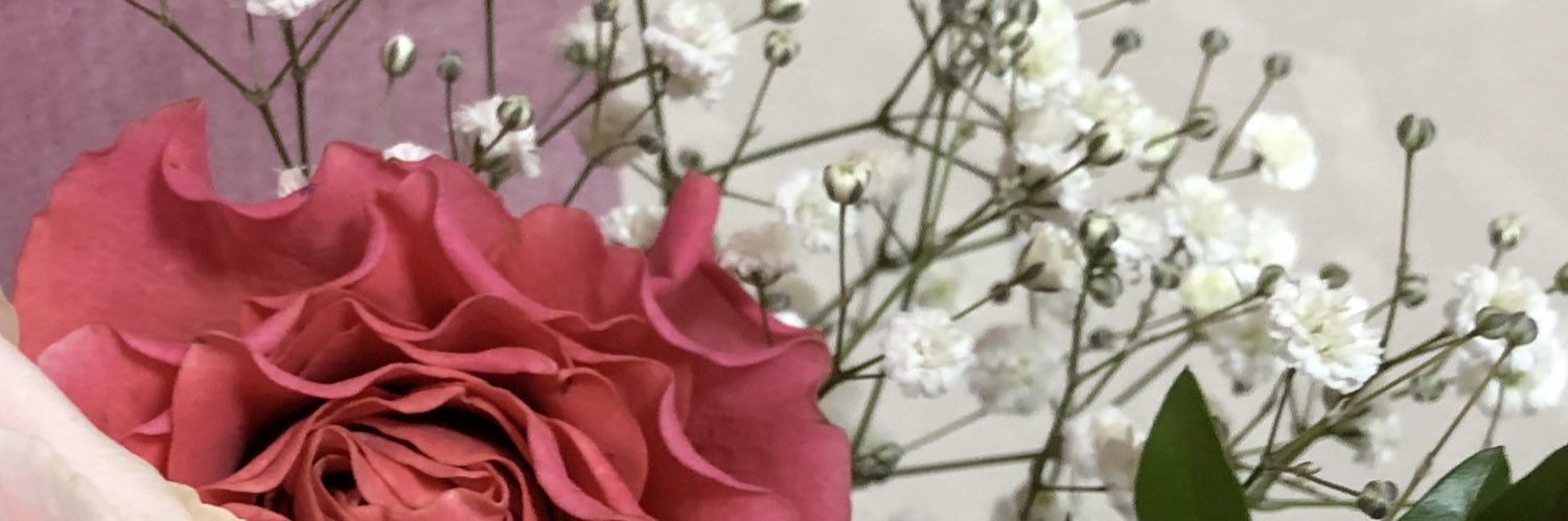 rose_aa2's profile banner image