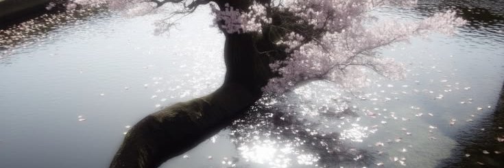 reddmoonx's profile banner image