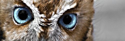 радиоактивна Рибичка banner
