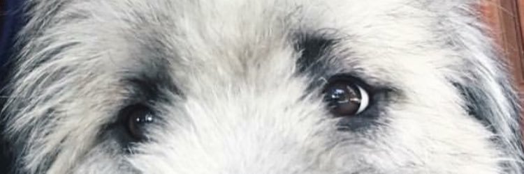 clairclaircl's profile banner image