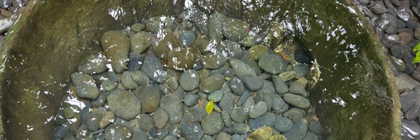 3391ms Profile Banner