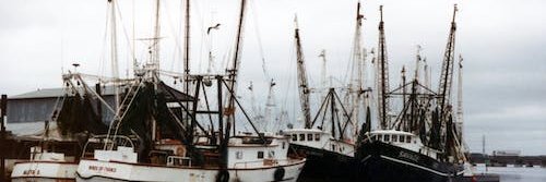 adhiraj1007's profile banner image