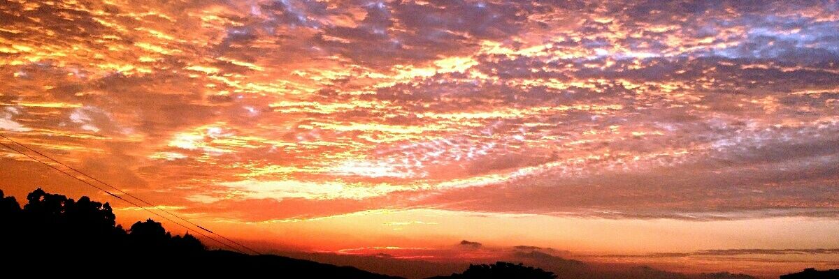 RvAlondite's profile banner image
