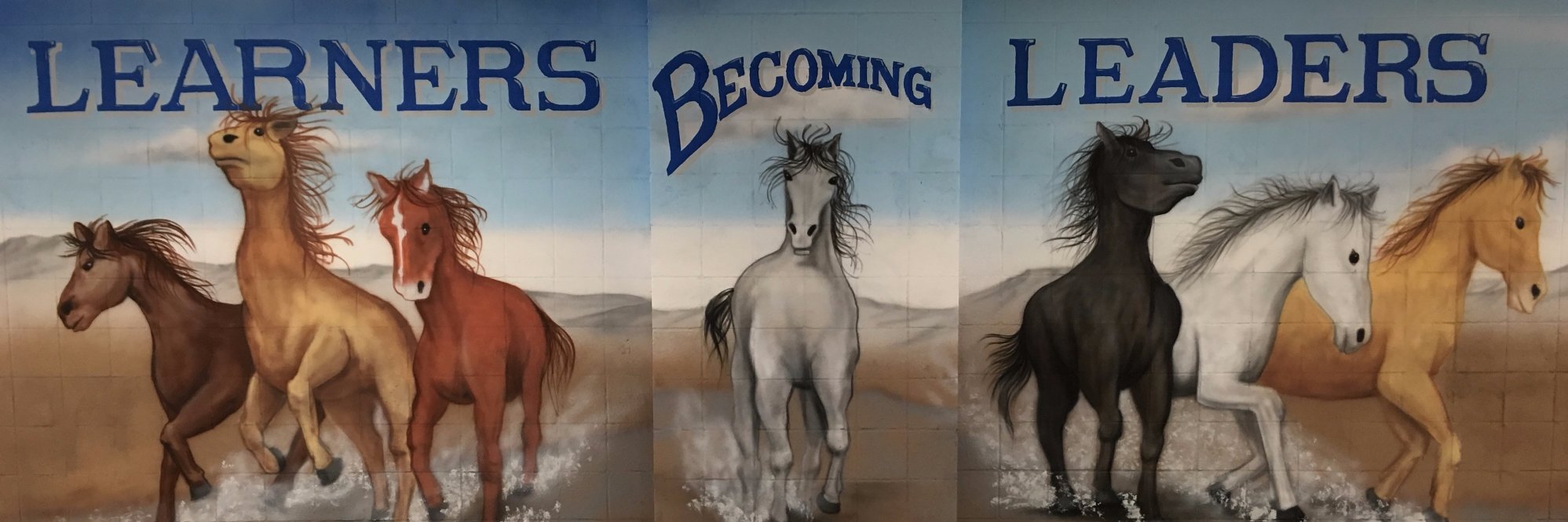 Meridian Mustangs banner