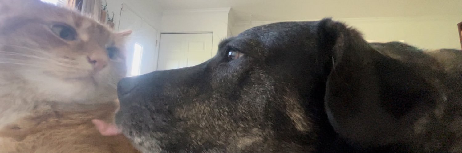 pmillaaa14's profile banner image